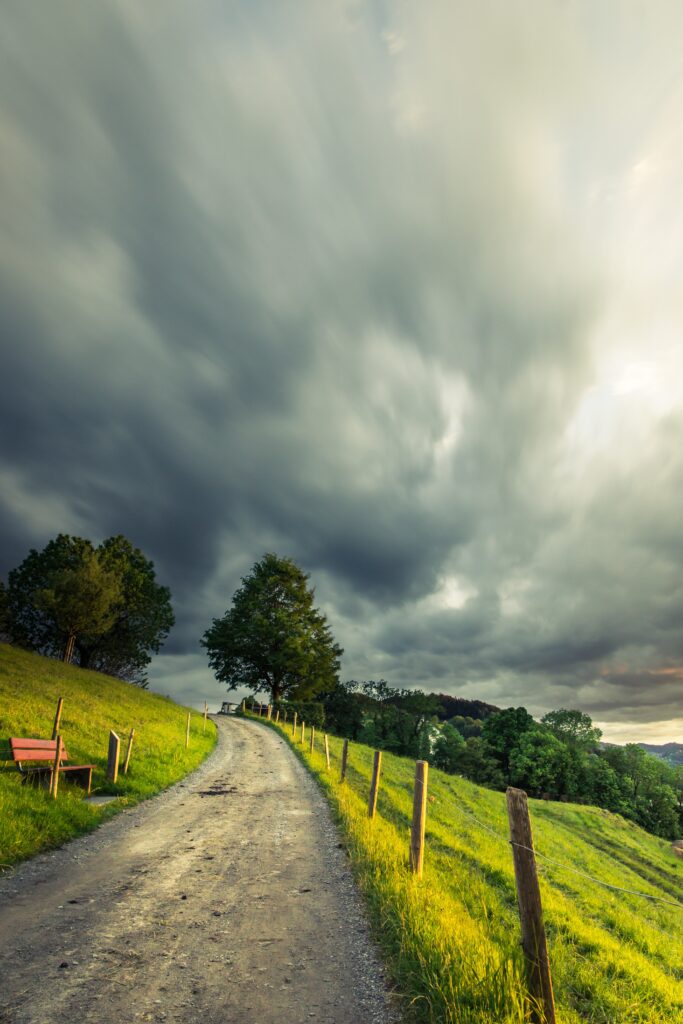 vertical shot of a pathway in the middle of a grassy field with trees under a cloudy sky