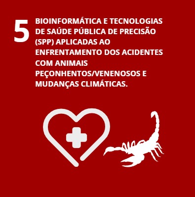 WhatsApp Image 2026 02 07 At 18.07.21